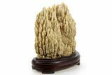 Fascinating, Calcite/Aragonite Stalactite Formation - China #377336-1